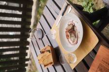 ALICE PEROTTI - Alice PEROTTI